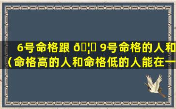 6号命格跟 🦟 9号命格的人和（命格高的人和命格低的人能在一起吗）